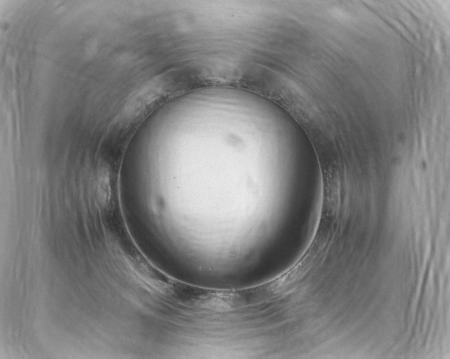 X0000086970128200704161553