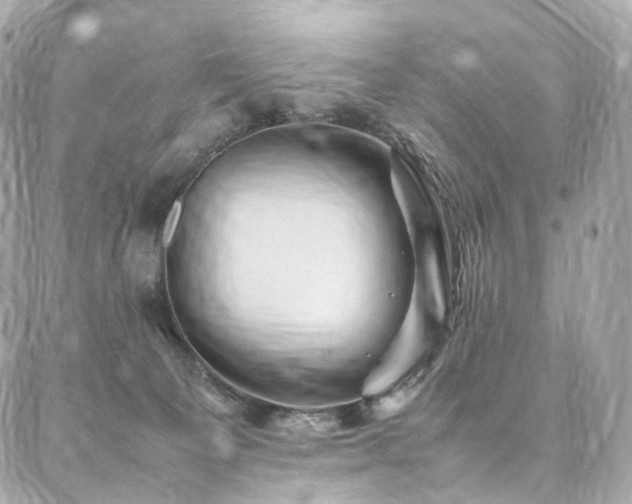 X0000086970129200704161553