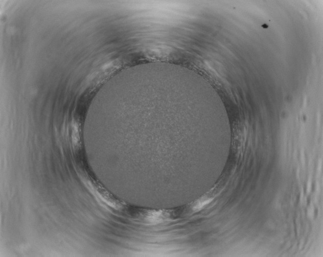 X0000086970130200704161553