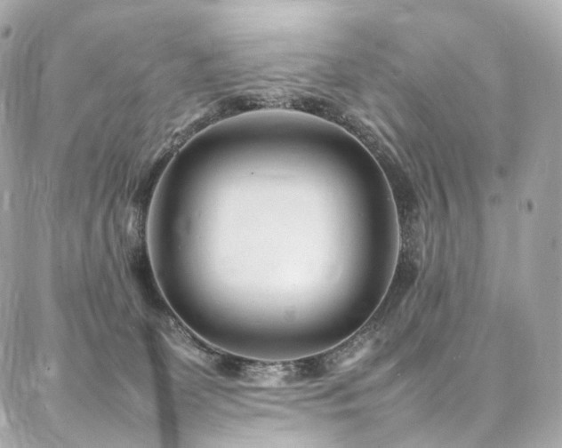 X0000086970131200704161553