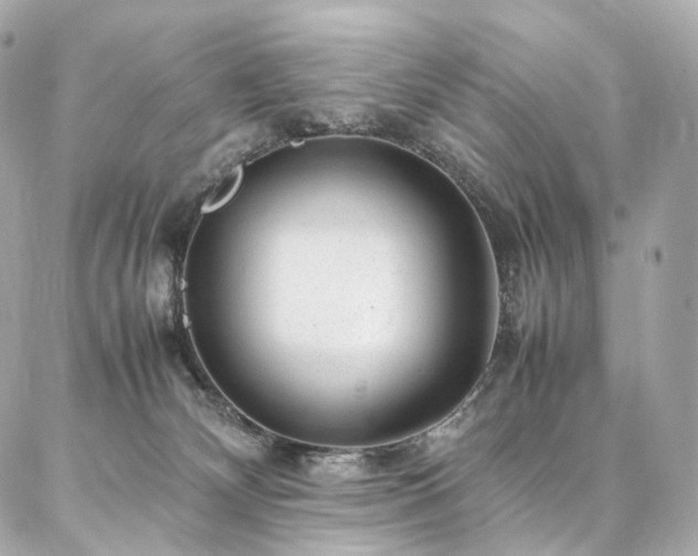 X0000086970132200704161553