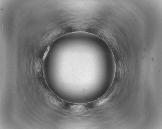 X0000086970133200704161553