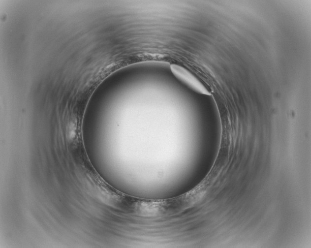 X0000086970134200704161553