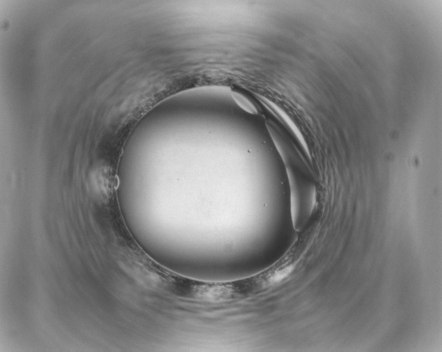 X0000086970135200704161553