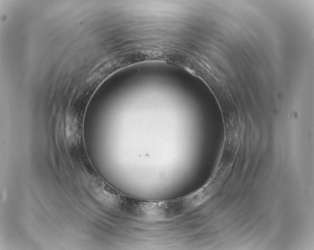 X0000086970136200704161553