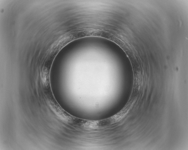 X0000086970138200704161553