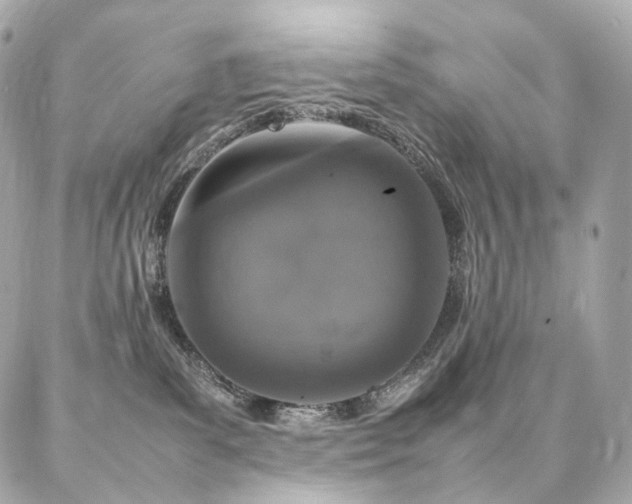 X0000086970139200704161553