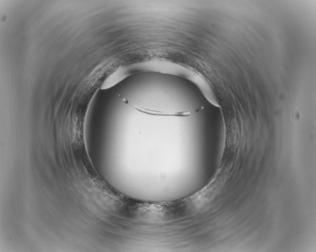 X0000086970140200704161553