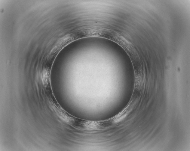 X0000086970142200704161553