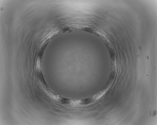 X0000086970143200704161553