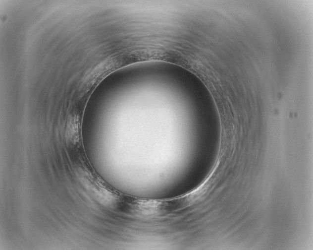 X0000086970144200704161553