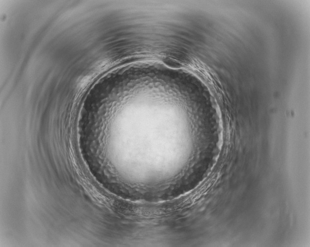 X0000086970145200704161552