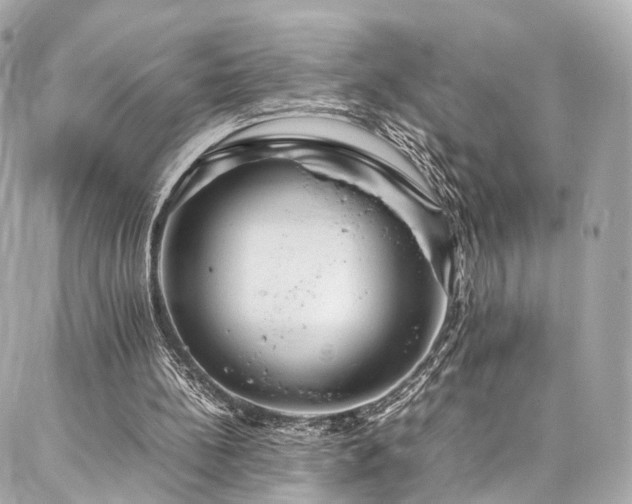 X0000086970148200704161552