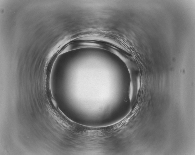 X0000086970150200704161552