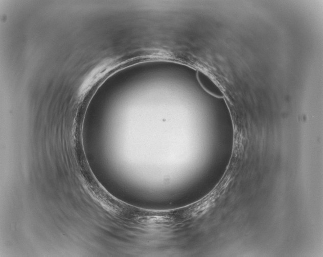 X0000086970151200704161552