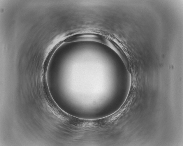 X0000086970152200704161552