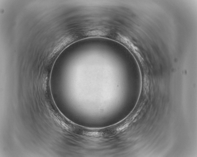 X0000086970153200704161552