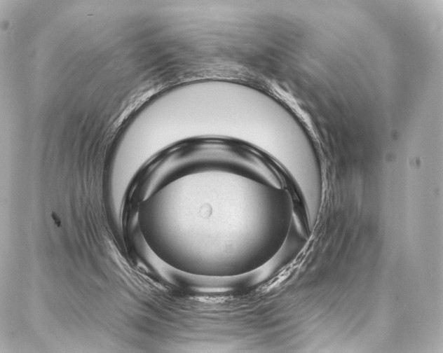 X0000086970154200704161552