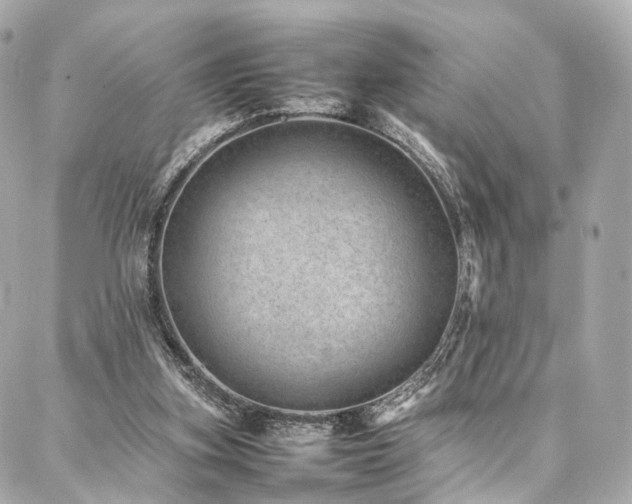 X0000086970155200704161552