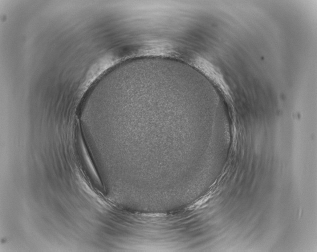 X0000086970156200704161552