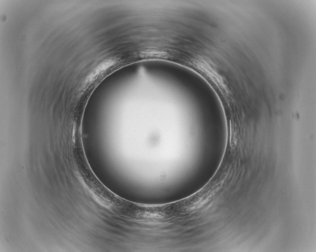 X0000086970157200704161552