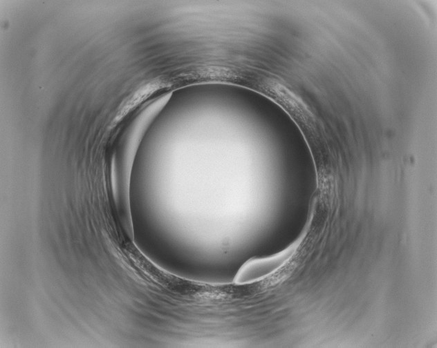 X0000086970158200704161552