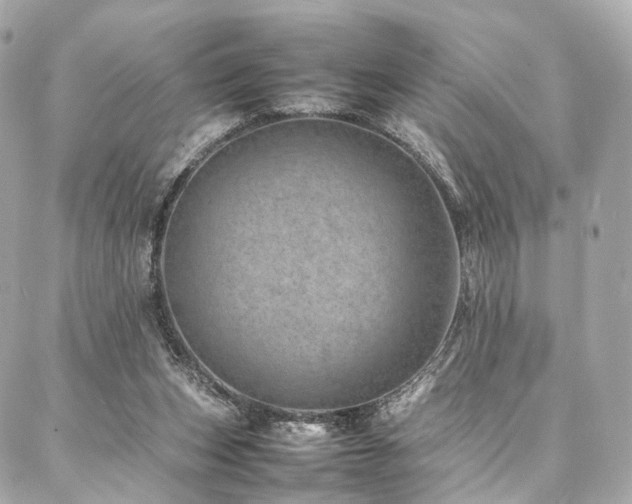 X0000086970159200704161552