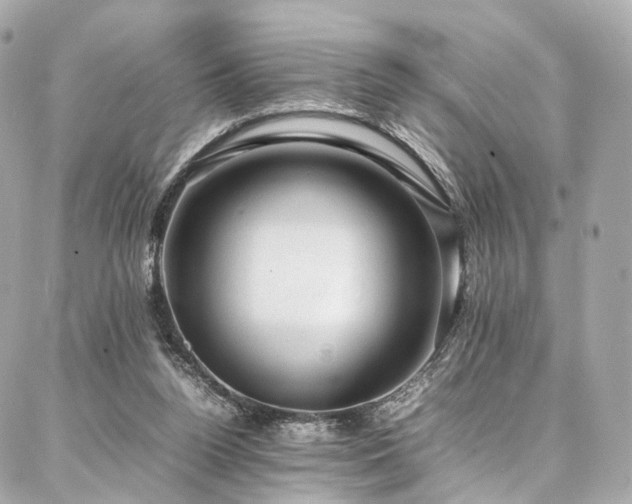 X0000086970160200704161552