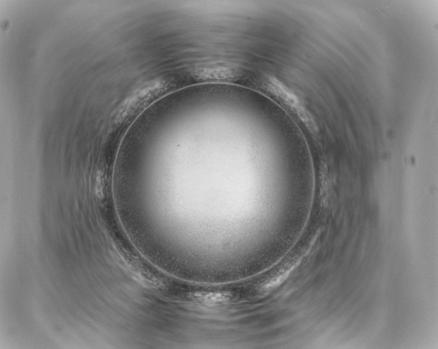 X0000086970161200704161552