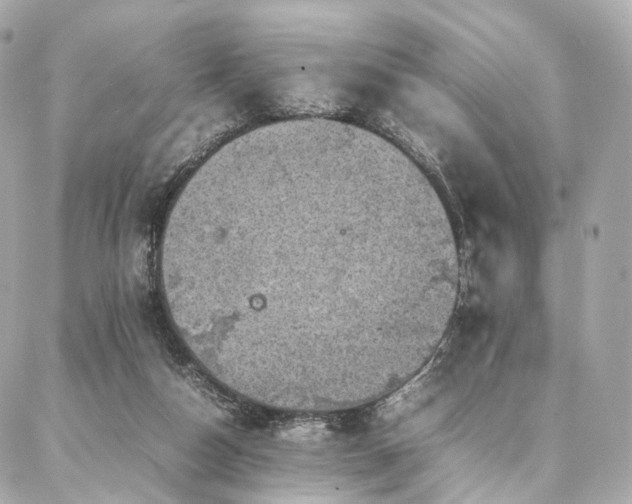 X0000086970162200704161552