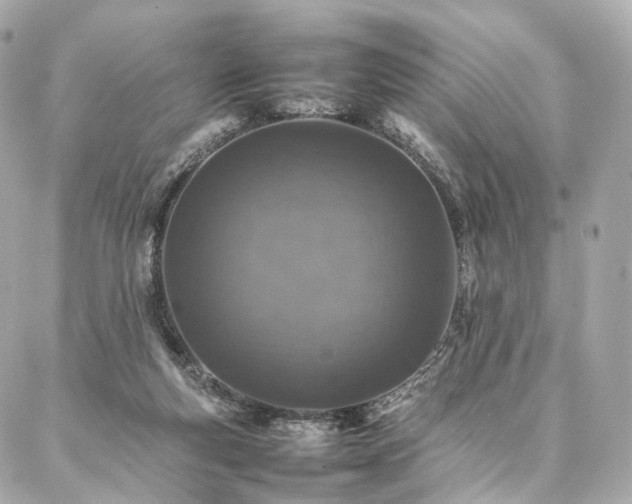 X0000086970163200704161552