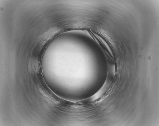 X0000086970164200704161552