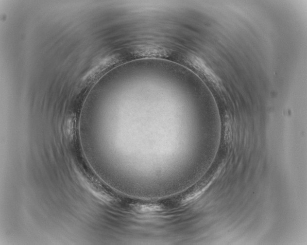 X0000086970165200704161552