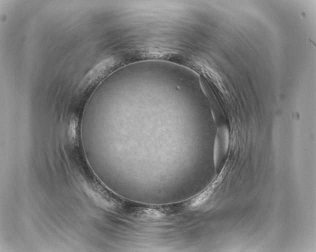 X0000086970166200704161552