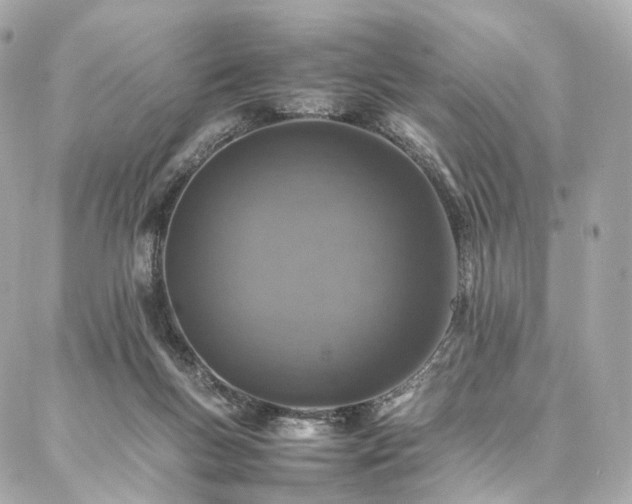 X0000086970167200704161552