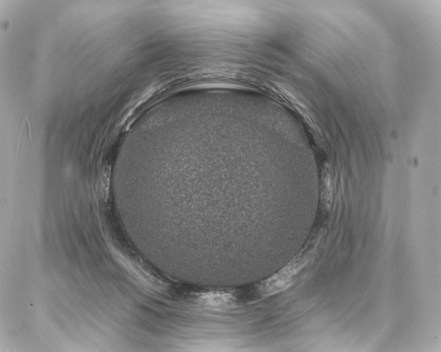 X0000086970168200704161552