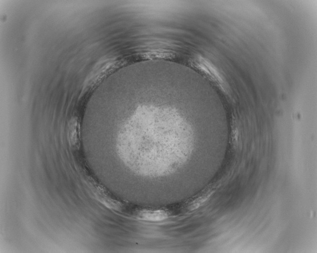 X0000086970169200704161552