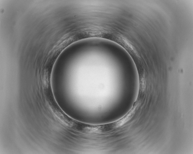 X0000086970170200704161552