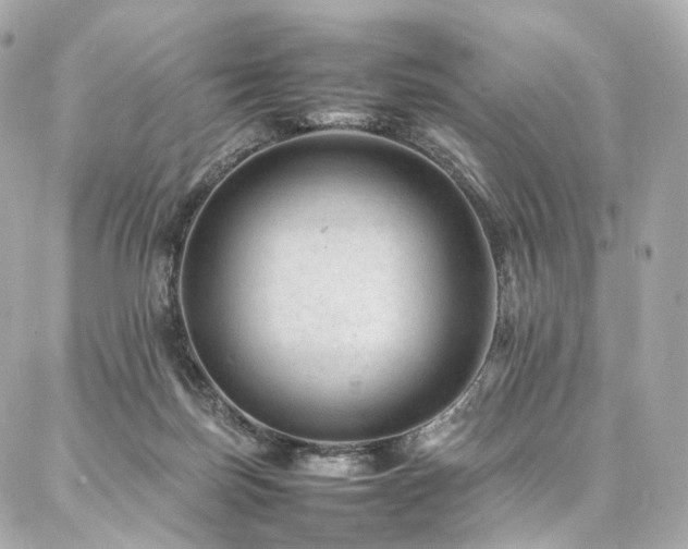 X0000086970171200704161552