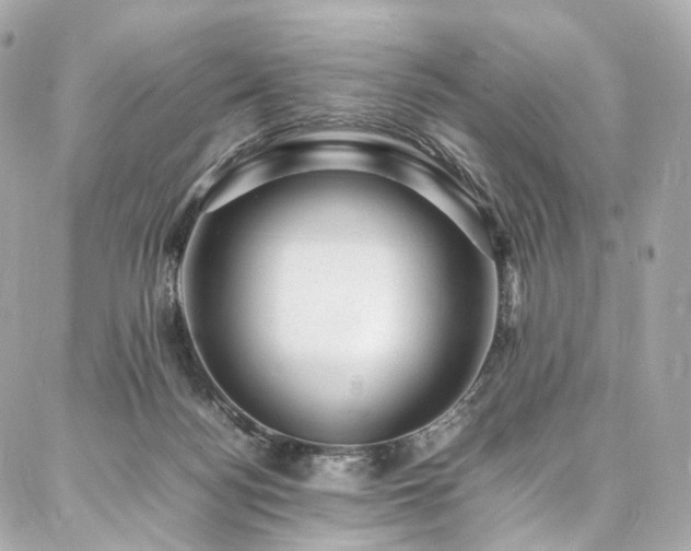 X0000086970172200704161552