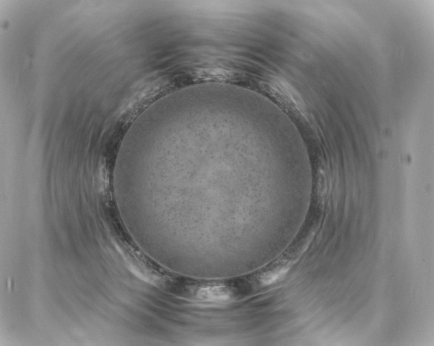 X0000086970173200704161552