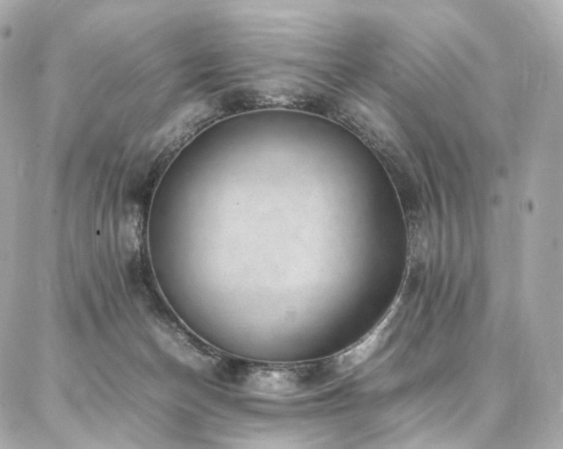 X0000086970174200704161552