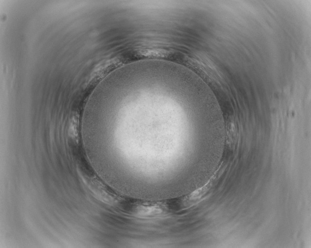 X0000086970175200704161552