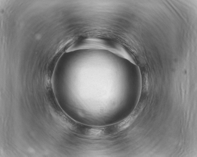 X0000086970176200704161552