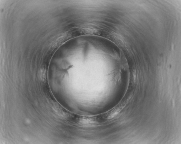 X0000086970177200704161552