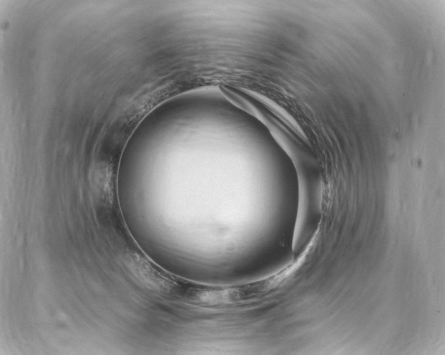 X0000086970178200704161552