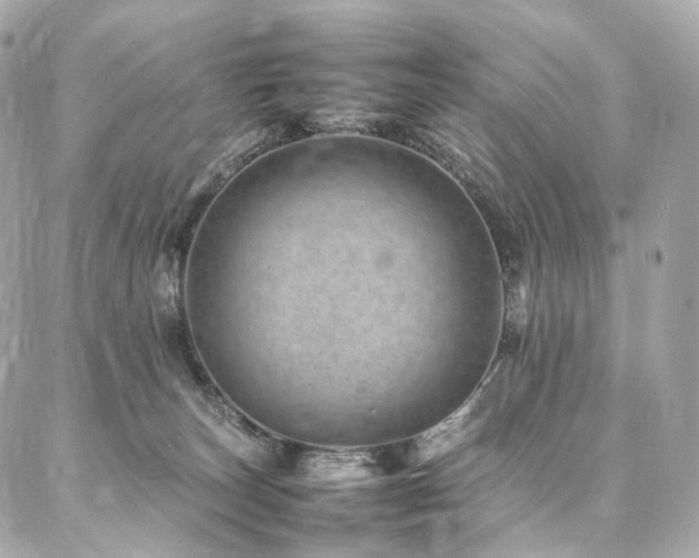 X0000086970179200704161552