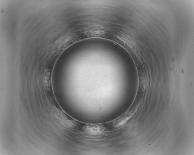 X0000086970181200704161552