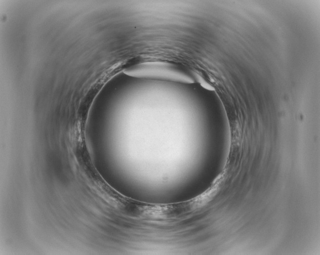 X0000086970182200704161552