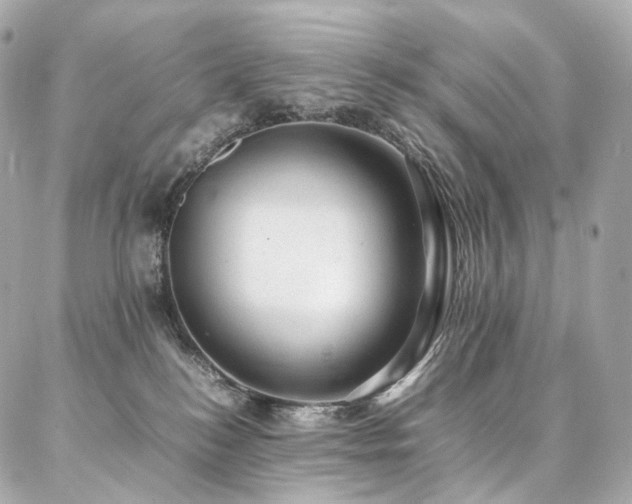 X0000086970184200704161552